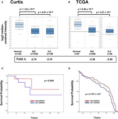 Chemerin Suppresses Breast Cancer Growth by Recruiting Immune Effector Cells Into the Tumor Microenvironment